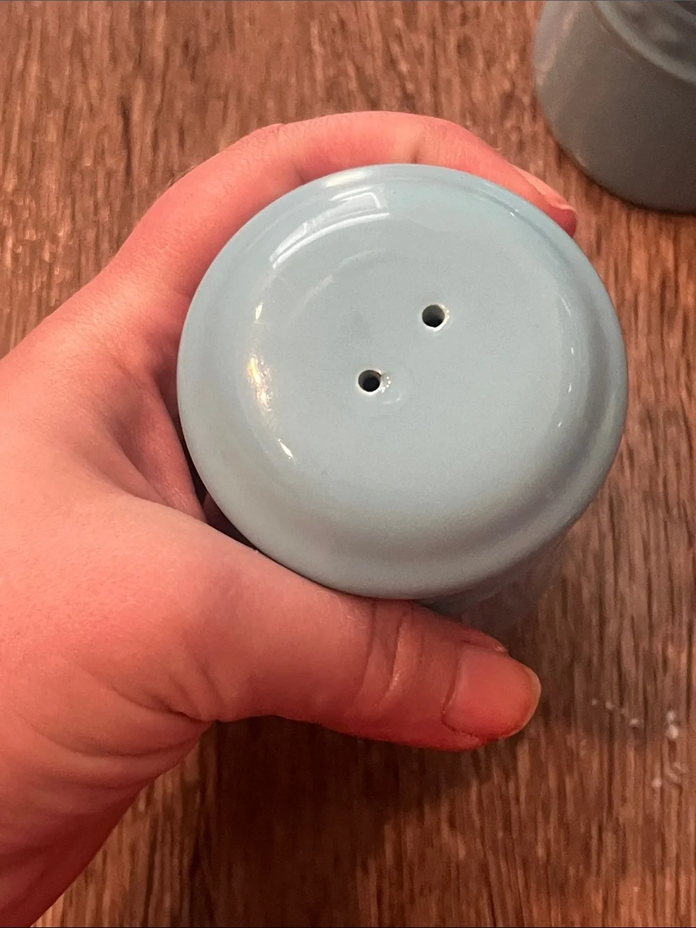Vintage Emeril Ceramic Salt and Pepper Shakers in Light Blue